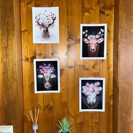 Im Herzen Tribergs Lägenhet