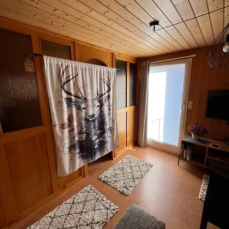 Im Herzen Tribergs Appartement *
