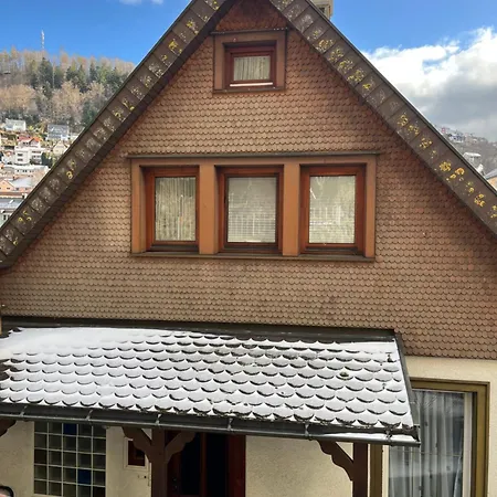 Im Herzen Tribergs Appartamento *